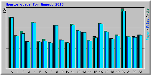 Hourly usage for August 2016